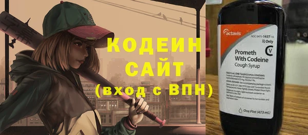 гашик Михайлов