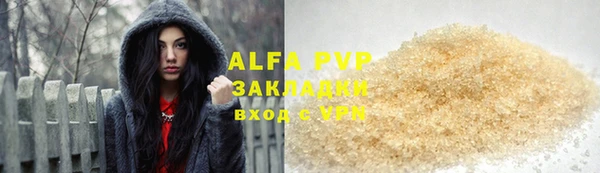 гашик Михайлов