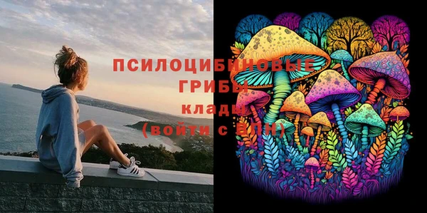 трава Михайловка