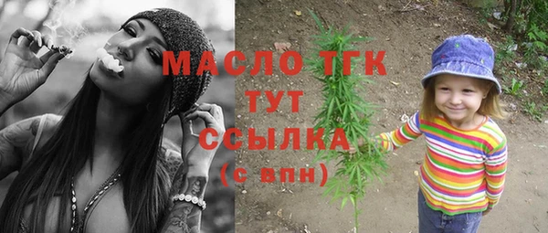 гашик Михайлов